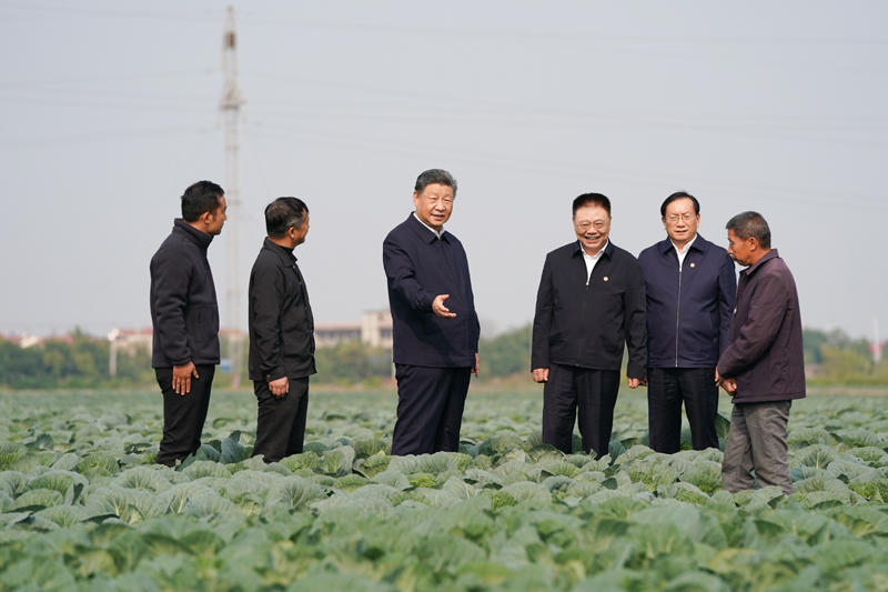 11月4日至6日，中共中央總書記、國家主席、中央軍委主席習(xí)近平在湖北考察。這是5日上午，習(xí)近平在咸寧市嘉魚縣潘家灣鎮(zhèn)十里蔬菜長廊考察時(shí)，走進(jìn)田間，察看蔬菜長勢。